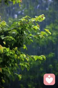 雨丝垂成透明的帘
你从街角拐进来
伞骨滴着碎银
每一步
都踩在云的叹息上

老墙长出青苔的耳朵
听我们错过又折返
水洼倒映
天在摇晃
你在发亮

这场雨下了一生那么长
刚好够
把你说过的每句话
都洗成初见的模样配图