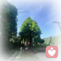 不要因为一片云，就指着天空说没有太阳。美好的事情，总会在最不经意的时候出现。配图