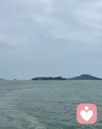 船行过厦门湾的清晨与黄昏，
天是淡蓝的信笺，
海写满流动的波纹。
双子塔扬起城市的帆，
落日把碎金，撒在每一片浪尖配图