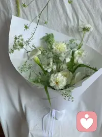 邂逅一点绿……配图