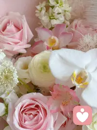 你知道吗？我们每个人为什么要努力：
只有坚持别人无法坚持的坚持，才能拥有别人无法拥有的拥有。
支撑你变的越来越好是你的意志，修养，品行，认知以及不断的反思和修正，人生最好的贵人，其实一直都是努力的自己。