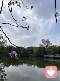 喜欢是“拿起”，看到好的就想拥有；爱是“放下”，愿意为了对方收敛自己的脾气。喜欢只谈感觉，谈爱要承担责任。想，全是问题；干，就是答案。配图