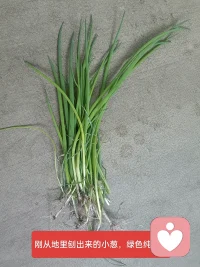 在生活的琐碎中
疗愈琐碎的自己
心安就这么简单配图