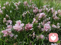 精神空虚皆因意识受拘。不是你的精神空虚了，而是你的意识被拘了。给意识一个开阔的出口，精神就会有充实的硕果。