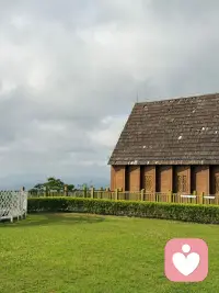 静谧的倾听者配图