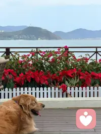 爱生活这件事  永远来得及配图