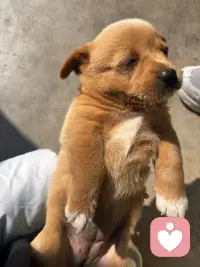 心宽   路更宽配图