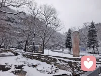雪落漫山，却落不进你心里。
这场雪下得好安静，像我们再也没说出口的话
你我皆可赏雪，唯我在等那个不会回来的人
雪会停，天会晴，可有些难过，一直未消散配图