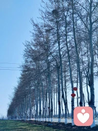 倾听师，爱心事业，治愈他人，同时实现自我价值配图