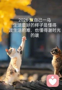 愿你被温柔以待配图