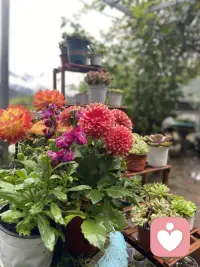 你想说，我就听