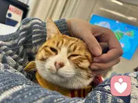 没有一个人知道一个倾听师会在这里经历什么…
但是我想说，每一位老师，都不容易！
                                                            共勉配图