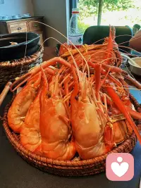 别总逼他想起前任的好了！乖！先吃饭🍽️！配图