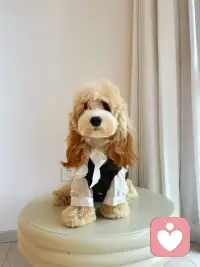 嘻嘻嘻！可爱吧！