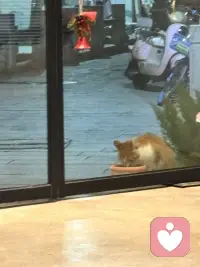 如果有一个人，在你最困难的时候出手相救。现在他变成了引起公愤的坏人，你会怎么对他？配图