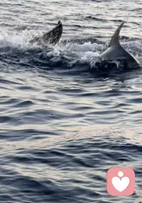 委屈到枯萎的妈妈，养不出阳光的孩子。所以你要努力托举自己，而非孩子！配图