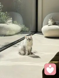 什么叫厉害？能享受风光的时刻，也能接住低谷的自己！配图