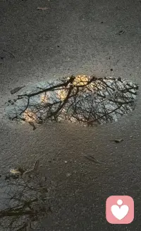 即便是再普通的一滩雨水，它也拥有不一样的风景！耶😀配图