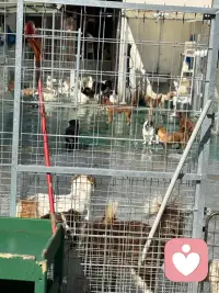 我努力挣钱，争取一个月吃一次零食！配图