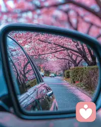 哇！花花配图