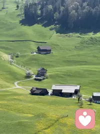 在这个死亡率100%的世界里，你做什么都是对的！