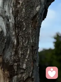 想不通的时候就给自己多点时间
过两天就想不起来了
年纪大就这点好处配图