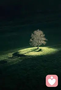 宝贝，精神寄托可以是任何东西，但唯独不能是人！配图