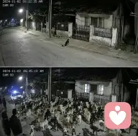 谁懂啊