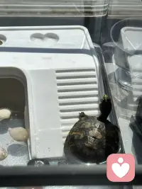 好暖心啊……欧耶✌️
没关系，我们慢慢走…