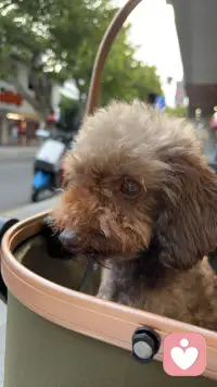 走！妈妈带你玩去！
新得一个小玩具，抱着就睡着了……
累坏了吧