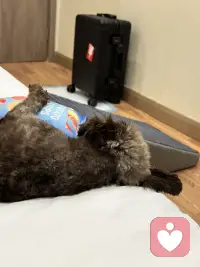 走！妈妈带你玩去！
新得一个小玩具，抱着就睡着了……
累坏了吧