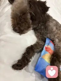 走！妈妈带你玩去！
新得一个小玩具，抱着就睡着了……
累坏了吧