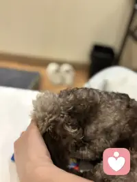 你是不是忘了，这玩具是我买的？