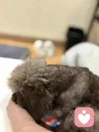 你是不是忘了，这玩具是我买的？