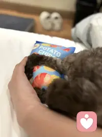 你是不是忘了，这玩具是我买的？