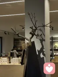 去过你见足够多的风景，你就有能力原谅一切！