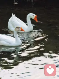 去过你见足够多的风景，你就有能力原谅一切！