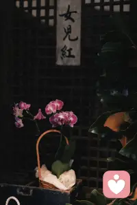 是要经常出门玩耍一下哟！
否则，你哪里来的勇气走下去……