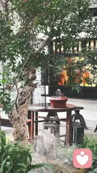 今天的心情，是这里给的！