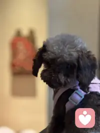 这个回眸，举着手机等了多久喔……