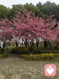 花有花期，人有时运，
怀爱与诚，静等来日，
在自己的世界里独善其身，在别人的世界里顺其自然。