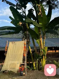 新入驻，大家给点小爱心配图