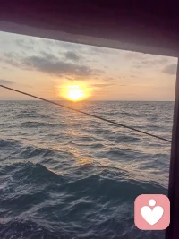 黄昏总能让人孤独感倍增，所以我来倾听您的孤独