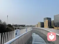 起来锻炼喽配图