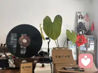 那些深夜的纠结内耗、遇事的暴躁焦虑，早已在心境、在自身的能量平衡上，悄悄标好了“代价”。配图