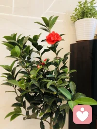 春雨终于来了，万物复苏，内驱力要发动了。配图