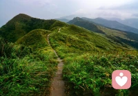 别把人生视为必须直达终点的竞赛。
那些绕远的路途，意外的停留，甚至看似倒退的脚步，
都在带你领略只有你才能遇见的风景。
每一步都是必经，每一程都有意义。✨配图