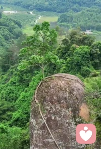 无论再难，生命总能找到自己的出路，其实我们也一样。配图