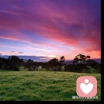 卓越日冕之歌的头像