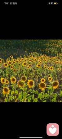 倾听师、秒回师
情绪稳定、嘴巴严
100元/小时配图